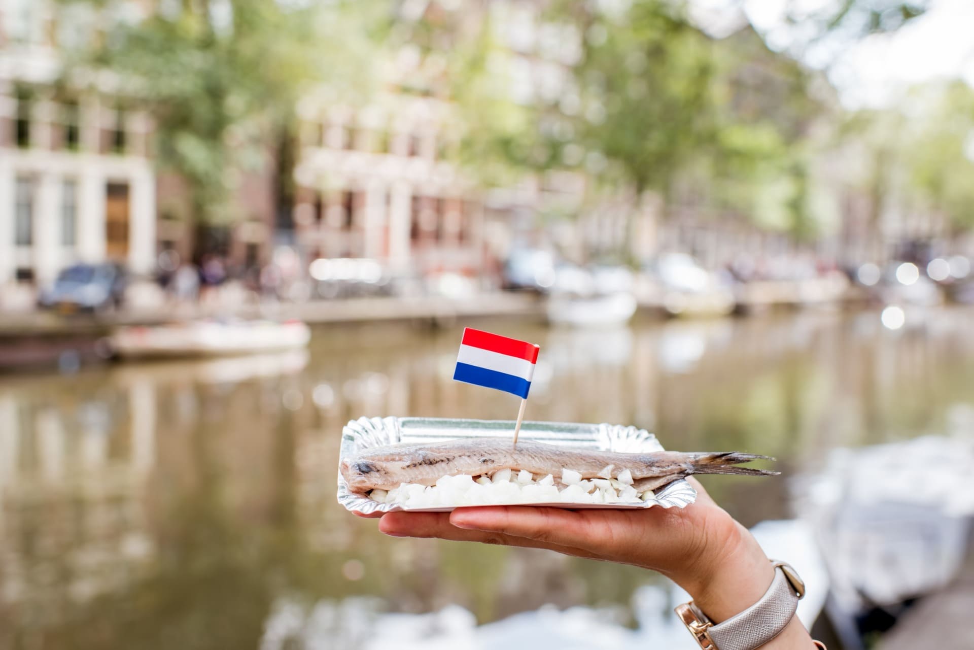 food tour amsterdam